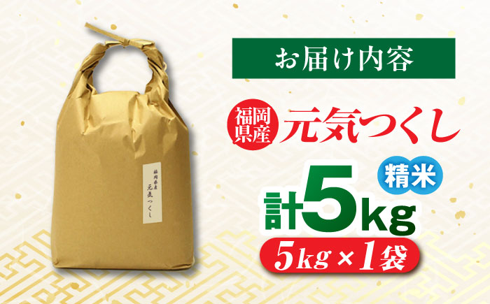 福岡県産 元気つくし 白米 5kg×1袋 吉富町/株式会社ベネフィス [BGAF025]