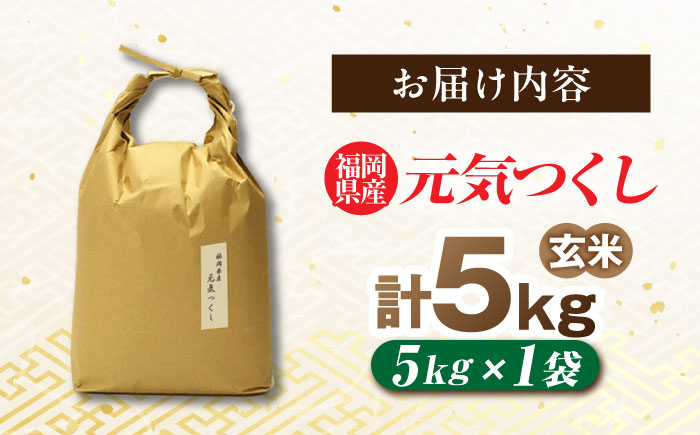 福岡県産 元気つくし 玄米 5kg×1袋 吉富町/株式会社ベネフィス [BGAF026]