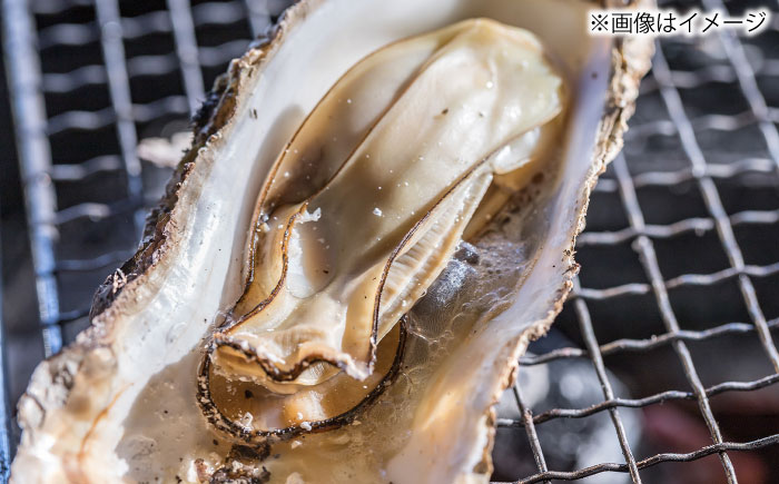 【2026年1月中旬より順次発送】 豊前海 一粒かき 約3kg 吉富町/南水産 [BGBD002]