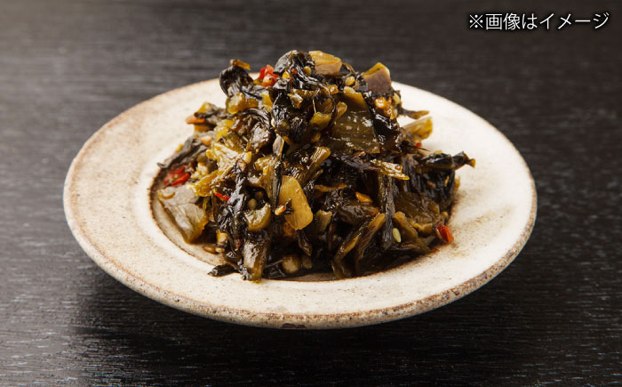 高菜 生ラーメン 5食＋替玉セット 吉富町/ワイエスフード株式会社 [BGBP006]