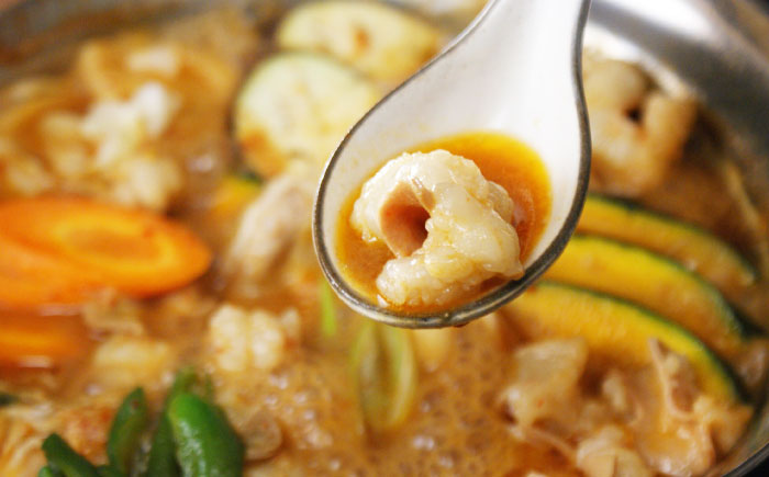 【全国放送されました】 新味噌もつ鍋ちゃんぽんセット 3人前 野菜無し 追加たれ付き 吉富町/焼肉・もつ鍋平壌屋 [BGBU006]