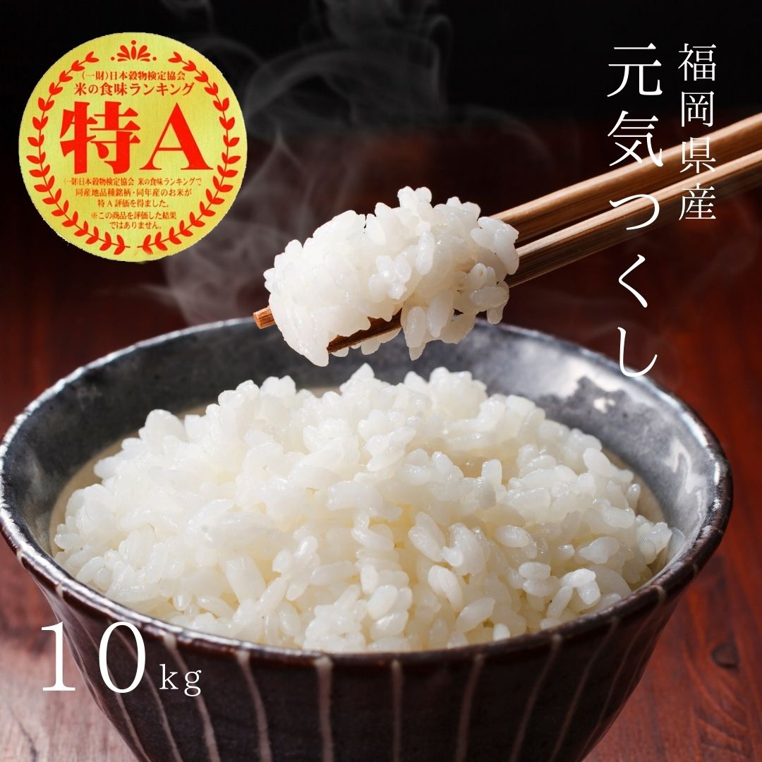 【先行予約】【令和7年産】福岡県産ブランド米「元気つくし」白米10kg(5kg×2袋) 吉富町/株式会社ゼロプラス [BGAA092] 米 精米 お米 おこめ ごはん ご飯 常温 福岡県産 ブランド米 常温 おにぎり おむすび お弁当 ライス 10キロ
