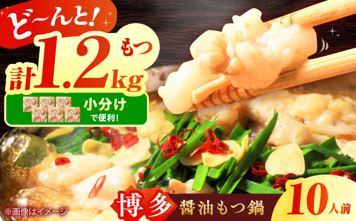 博多 醤油 もつ鍋 10人前セット 吉富町/株式会社MEAT PLUS [BGAB002] もつ鍋 もつなべ モツ鍋 もつ鍋セット 醤油 冷凍 福岡 博多 福岡県