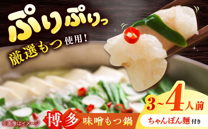 博多 味噌 もつ鍋 3～4人前セット 吉富町/株式会社MEAT PLUS [BGAB004] もつ鍋 もつなべ モツ鍋 もつ鍋セット 味噌 みそ 冷凍 福岡 博多 福岡県