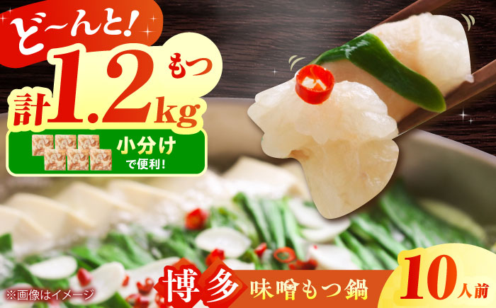 博多 味噌 もつ鍋 10人前セット 吉富町/株式会社MEAT PLUS [BGAB005] もつ鍋 もつなべ モツ鍋 もつ鍋セット 味噌 みそ 冷凍 福岡 博多 福岡県