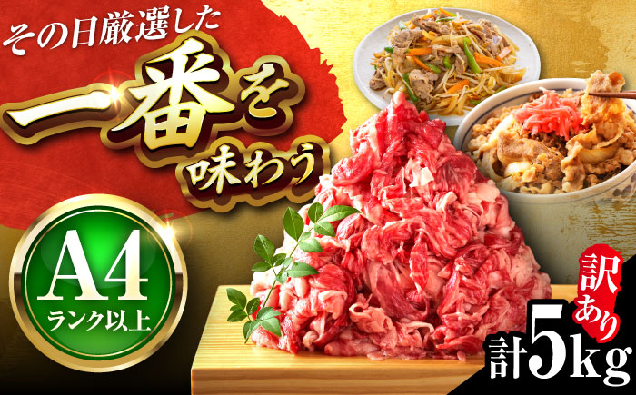 【博多和牛】 切り落とし 5kg (500g×10パック) 吉富町/株式会社MEAT PLUS [BGAB040] 国産 黒毛和牛 きりおとし 訳あり わけあり 肉 牛肉 バラ 牛肩 大容量 赤身 小分け パック 切落とし 福岡県
