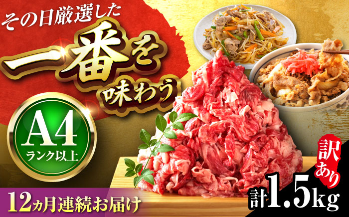 【全12回定期便】【訳あり】【A4～A5】博多和牛 切り落とし 1.5kg(500g×3パック) 吉富町/株式会社MEAT PLUS [BGAB079] 牛肉 ブランド牛 A4 A5 A4ランク A5ランク 黒毛和牛 赤身 国産 福岡県