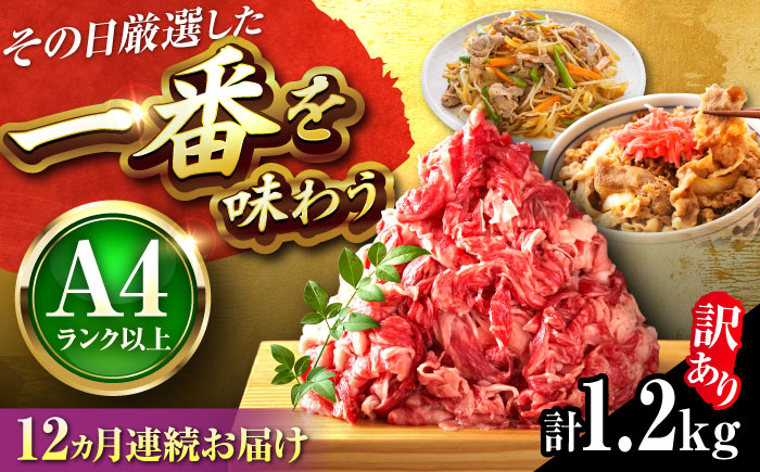【全12回定期便】【訳あり】【A4~A5】博多和牛 切り落とし 1.2kg(600g×2P) 吉富町/株式会社MEAT PLUS [BGAB094] 国産 和牛 ブランド牛 切り落とし 赤身 小分け きりおとし福岡県
