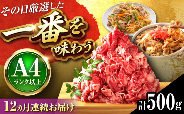 【全12回定期便】【A4～A5】博多和牛 切り落とし 500g 吉富町/株式会社MEAT PLUS [BGAB100] 牛肉 切り落とし 国産 福岡県