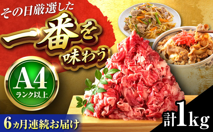 【全6回定期便】【A4～A5】博多和牛 切り落とし 1kg(500g×2P) 吉富町/株式会社MEAT PLUS [BGAB102] 牛肉 切り落とし 国産 福岡県