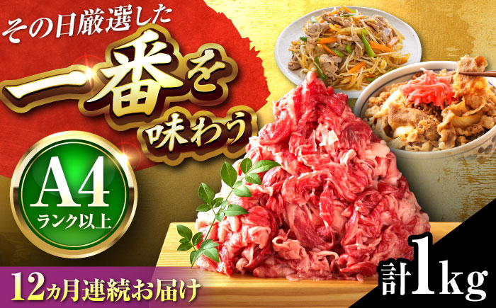 【全12回定期便】【A4～A5】博多和牛 切り落とし 1kg(500g×2P) 吉富町/株式会社MEAT PLUS [BGAB103] 牛肉 切り落とし 国産 福岡県