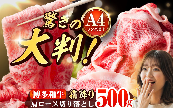 【A4～A5】 博多和牛 大判霜降り 贅沢切り落とし 500g (250g×2P) 吉富町/株式会社MEAT PLUS [BGAB109]