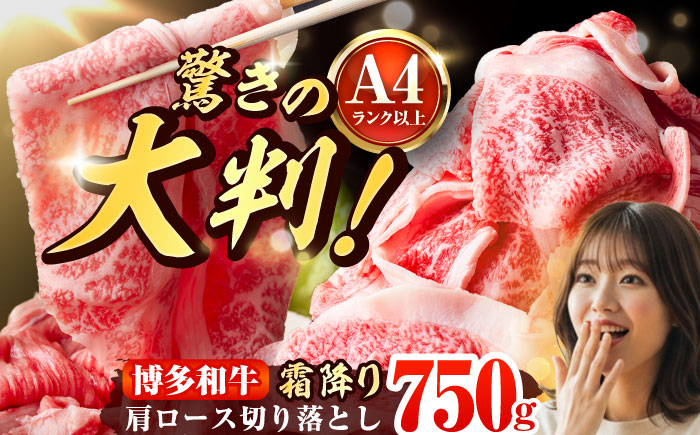 【A4～A5】 博多和牛 大判霜降り 贅沢切り落とし 750g (250g×3P) 吉富町/株式会社MEAT PLUS [BGAB110]