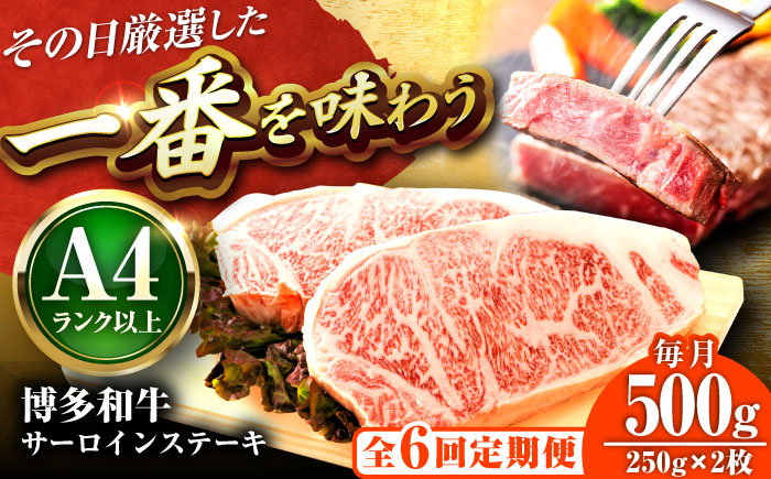【全6回定期便】【A4～A5】博多和牛 サーロインステーキ 500g(250g×2枚) 吉富町/株式会社MEAT PLUS [BGAB113] 牛肉 サーロインステーキ さーろいんすてーき サーロイン