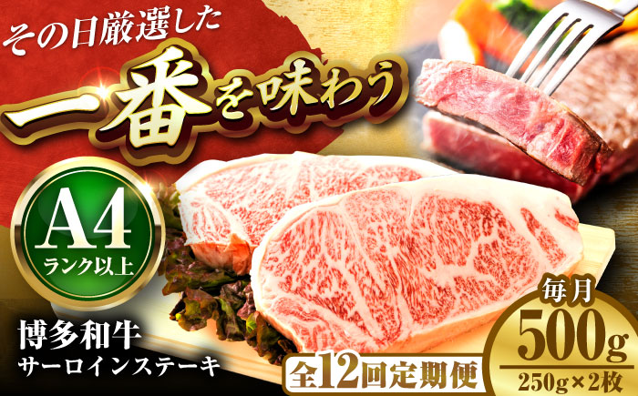 【全12回定期便】【A4～A5】博多和牛 サーロインステーキ 500g(250g×2枚) 吉富町/株式会社MEAT PLUS [BGAB114] 牛肉 サーロインステーキ さーろいんすてーき サーロイン