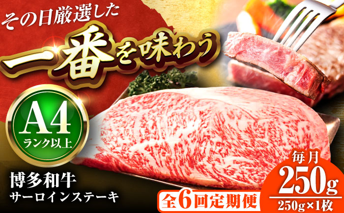 【全6回定期便】【A4～A5】博多和牛 サーロインステーキ 250g(250g×1枚) 吉富町/株式会社MEAT PLUS [BGAB116] 牛肉 サーロインステーキ さーろいんすてーき サーロイン
