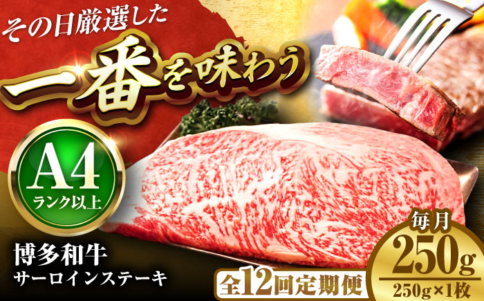【全12回定期便】【A4～A5】博多和牛 サーロインステーキ 250g(250g×1枚) 吉富町/株式会社MEAT PLUS [BGAB117] 牛肉 サーロインステーキ さーろいんすてーき サーロイン