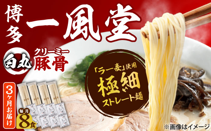 【全3回定期便】ラー麦使用「一風堂」とんこつラーメン 白丸(8食) 吉富町/株式会社吉浦コーポレーション [BGAD031] ラーメン 麺