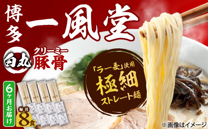【全6回定期便】ラー麦使用「一風堂」とんこつラーメン 白丸(8食) 吉富町/株式会社吉浦コーポレーション [BGAD032] ラーメン 麺