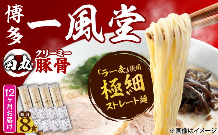 【全12回定期便】ラー麦使用「一風堂」とんこつラーメン 白丸(8食) 吉富町/株式会社吉浦コーポレーション [BGAD033] ラーメン 麺