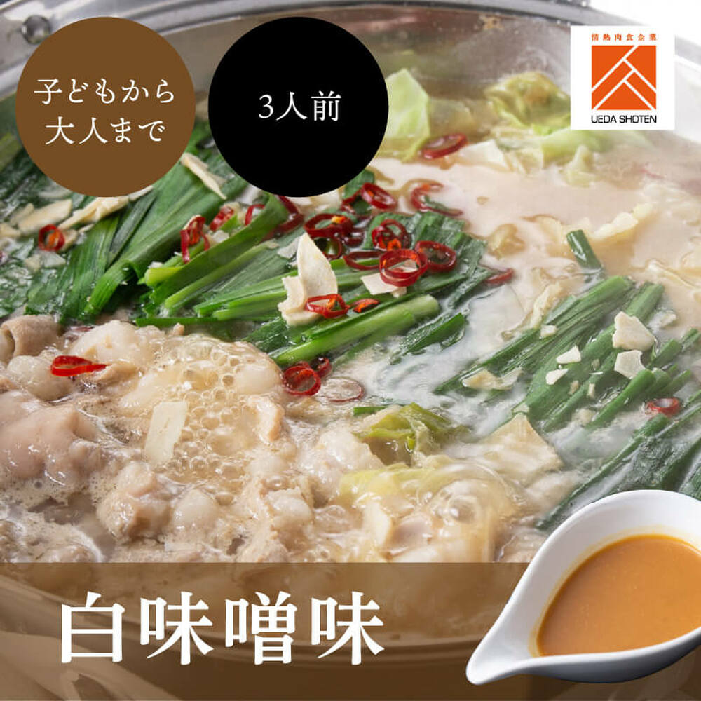 「上田商店」博多もつ鍋セット(白味噌/3人前) 吉富町/株式会社吉浦コーポレーション [BGAD055]
