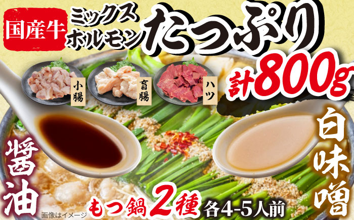 「上田商店」工場直販 もつ鍋(醤油・白味噌/各4-5人前) 吉富町/株式会社吉浦コーポレーション [BGAD058]