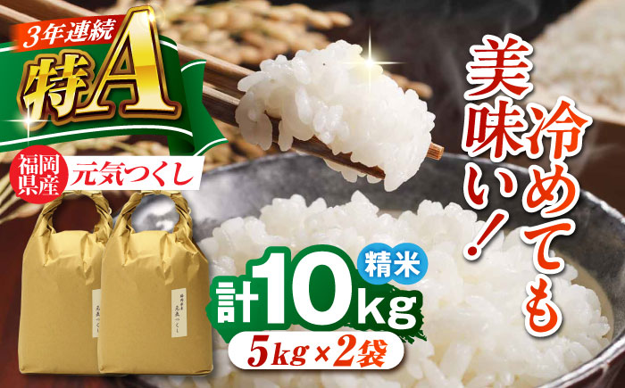 福岡県産 元気つくし 白米 10kg (5kg×2袋) 吉富町/株式会社ベネフィス [BGAF019] 福岡県