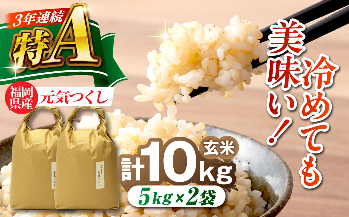 福岡県産 元気つくし 玄米 10kg (5kg×2袋) 吉富町/株式会社ベネフィス [BGAF020] 福岡県