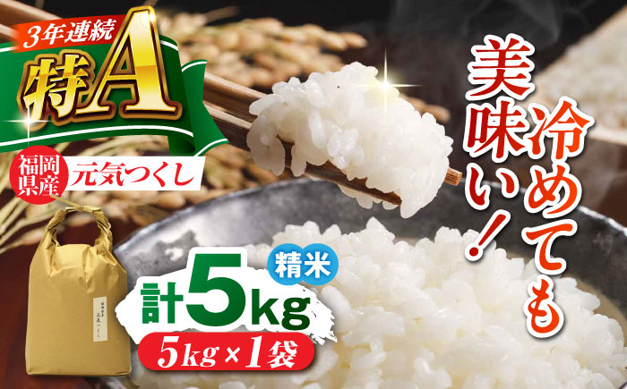 福岡県産 元気つくし 白米 5kg×1袋 吉富町/株式会社ベネフィス [BGAF025]