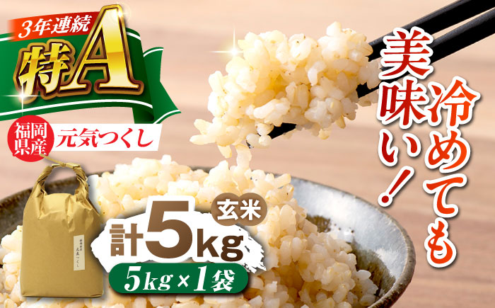 福岡県産 元気つくし 玄米 5kg×1袋 吉富町/株式会社ベネフィス [BGAF026]