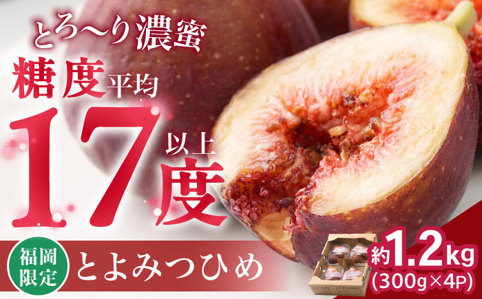 【2025年8月上旬より順次発送】福岡産ブランド無花果 とよみつひめ 約300g×4パック 吉富町/南国フルーツ株式会社 [BGAG012] いちじく イチジク 青果物 果物 くだもの フルーツ 甘い 旬 ふるさと納税 福岡県