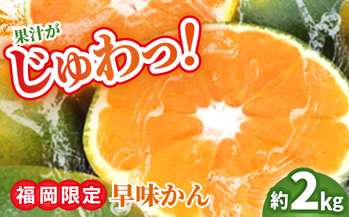 【9月中旬より順次発送】【福岡限定】オリジナルブランド「早味かん」約2kg 吉富町/南国フルーツ株式会社 [BGAG013] 果物 くだもの フルーツ みかん ミカン 蜜柑 オレンジ 旬 柑橘 ふるさと納税 福岡県