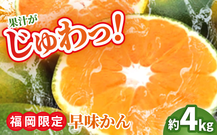 【9月中旬より順次発送】【福岡限定】オリジナルブランド「早味かん」約4kg 吉富町/南国フルーツ株式会社 [BGAG014] 果物 くだもの フルーツ みかん ミカン 蜜柑 オレンジ 旬 柑橘 ふるさと納税 福岡県