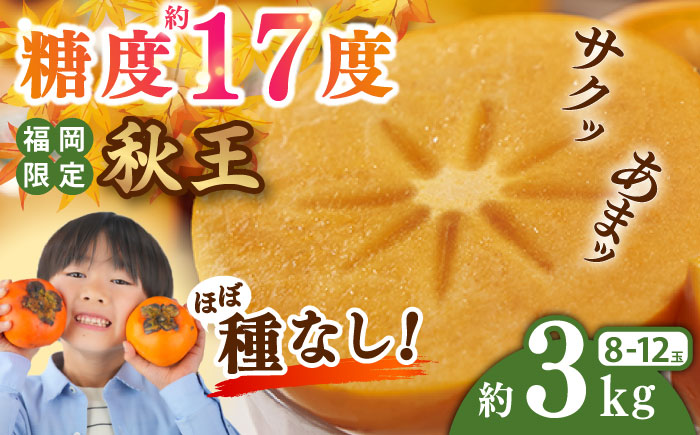 【2025年10月中旬より順次発送】福岡産ブランド 秋王柿 約3kg(8-12玉) 吉富町/南国フルーツ株式会社 [BGAG016] フルーツ 果物 くだもの 柿 かき 種なし たねなし 秋王 ふるさと納税 福岡県