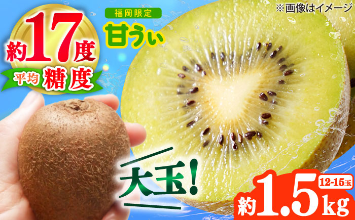 【2025年10月下旬より順次発送】福岡産ブランドキウイ「甘うぃ」約1.5kg(12-15玉) 吉富町/南国フルーツ株式会社 [BGAG017] キウィフルーツ 果物 フルーツ デザート 青果 果実 甘い ふるさと納税 福岡県