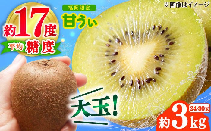 【2025年10月下旬より順次発送】福岡産ブランドキウイ「甘うぃ」約3kg(24-30玉) 吉富町/南国フルーツ株式会社 [BGAG018] キウィフルーツ 果物 フルーツ デザート 青果 果実 甘い ふるさと納税 福岡県