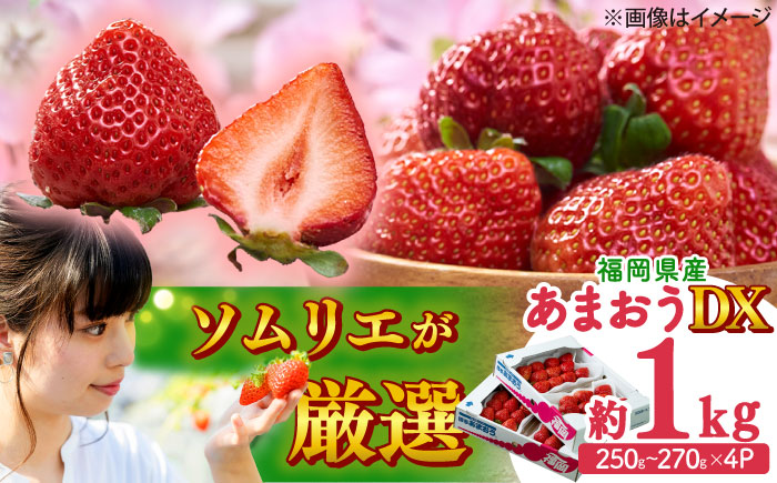 【2026年2月上旬より順次発送】フルーツソムリエが選んだ【春】あまおうDX(デラックス)4パック 吉富町/南国フルーツ株式会社 [BGAG019] 果物 フルーツ デザート いちご イチゴ 苺 あまおう 人気 美味しい ふるさと納税 福岡県