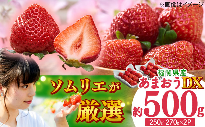 【2025年12月上旬より順次発送】フルーツソムリエが選んだ【冬】あまおうDX(デラックス)2パック 吉富町/南国フルーツ株式会社 [BGAG020] 果物 フルーツ デザート いちご イチゴ 苺 あまおう 人気 美味しい ふるさと納税 福岡県