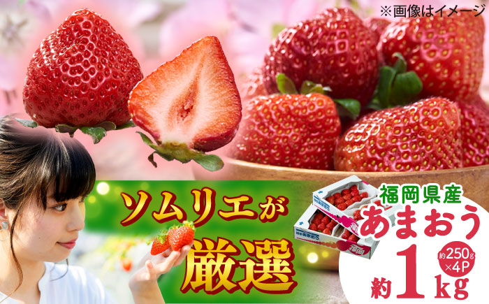【2025年12月上旬より順次発送】福岡産【冬】 あまおう 4パック 吉富町/南国フルーツ株式会社 [BGAG027] 果物 フルーツ デザート いちご イチゴ 苺 あまおう 人気 美味しい ふるさと納税 福岡県