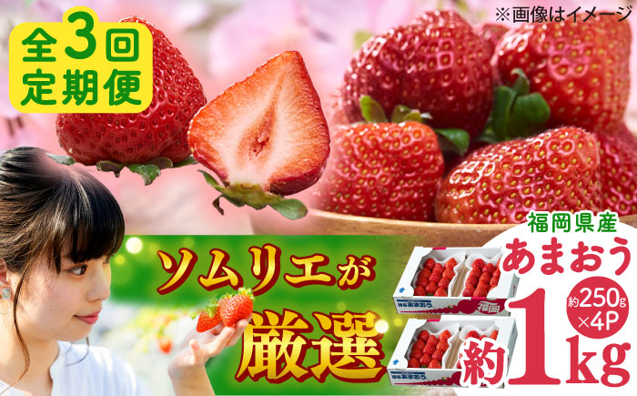【全3回定期便】福岡産 冬あまおう 250g×4P 吉富町/南国フルーツ株式会社 [BGAG042] 果物 フルーツ デザート いちご イチゴ 苺 あまおう 人気 美味しい ふるさと納税