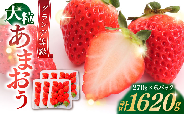 【2026年3月初旬より順次発送】 あまおう いちご 1620g (約270g×6パック) 吉富町/株式会社HSP-テクノ [BGBQ002] 福岡県