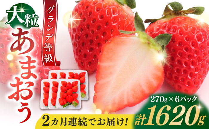 【全2回定期便】【2026年3月初旬より順次発送】 あまおう いちご 1620g (約270g×6パック) 吉富町/株式会社HSP-テクノ [BGBQ004] 福岡県