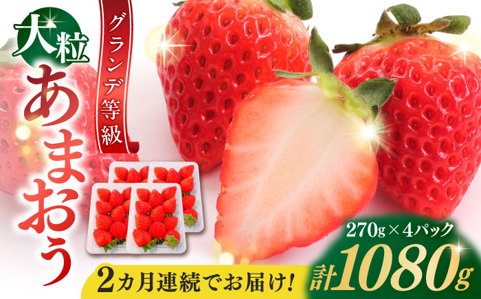 [全2回定期便][2026年1月中旬より順次発送] あまおう いちご 1080g (約270g×4パック) 吉富町/株式会社HSP-テクノ [BGBQ003] 福岡県