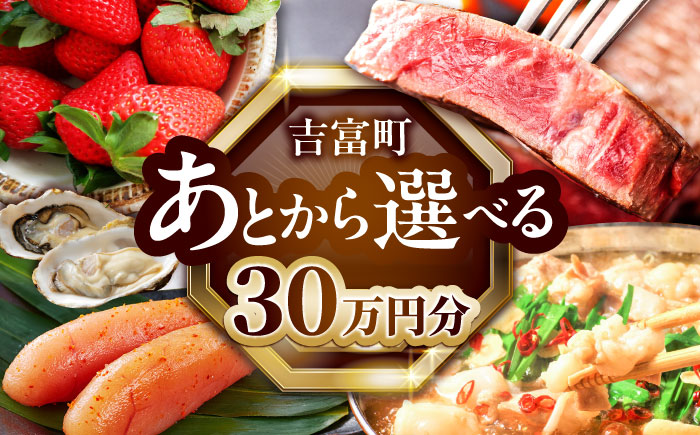 [あとから選べる]吉富町ふるさとギフト 30万円分 [BGZZ008] あとから寄附 あとからギフト 選べる寄附 30万円 300000円