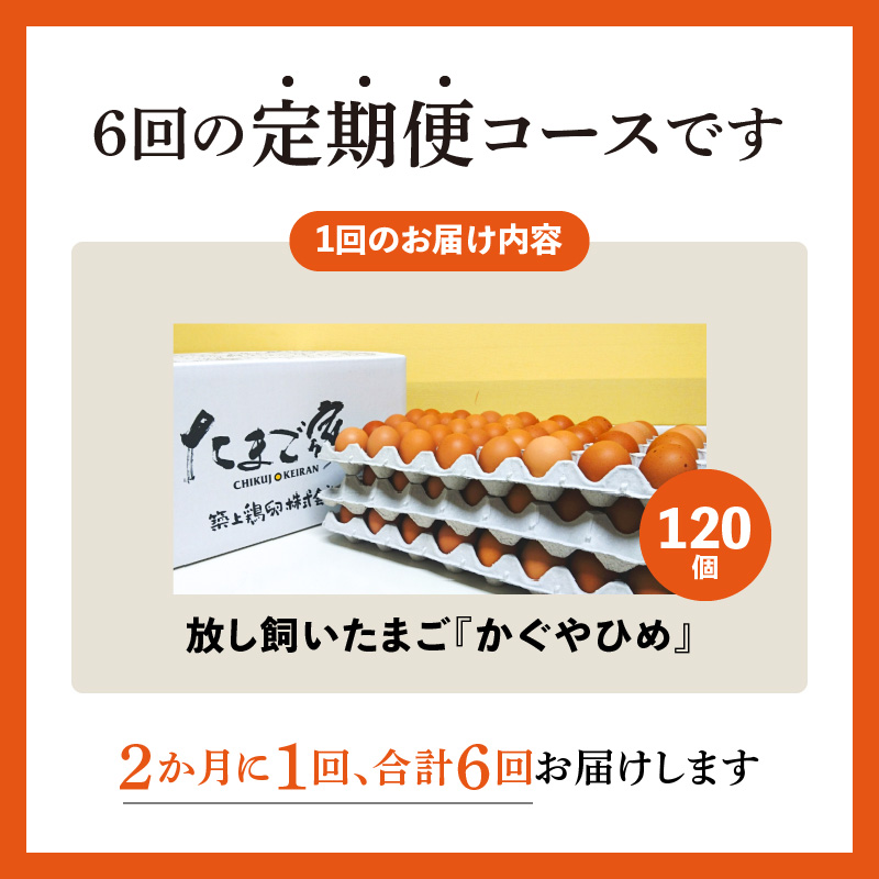 【定期便】放し飼い「かぐやひめ」120個　6回（隔月）コース 06T-003