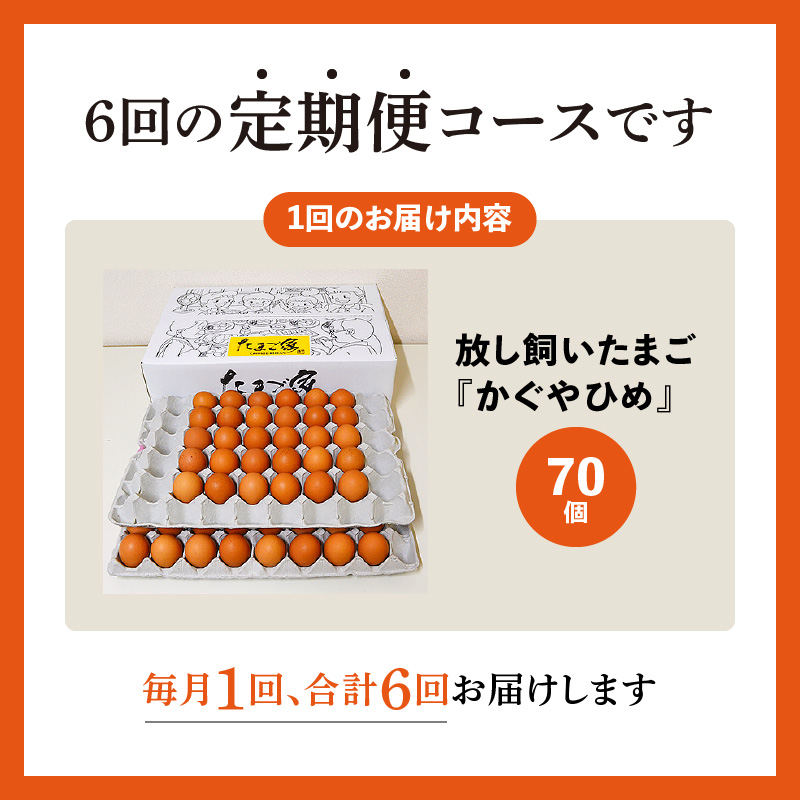 【定期便】放し飼い「かぐやひめ」70個　6回（毎月）コース 06T-004