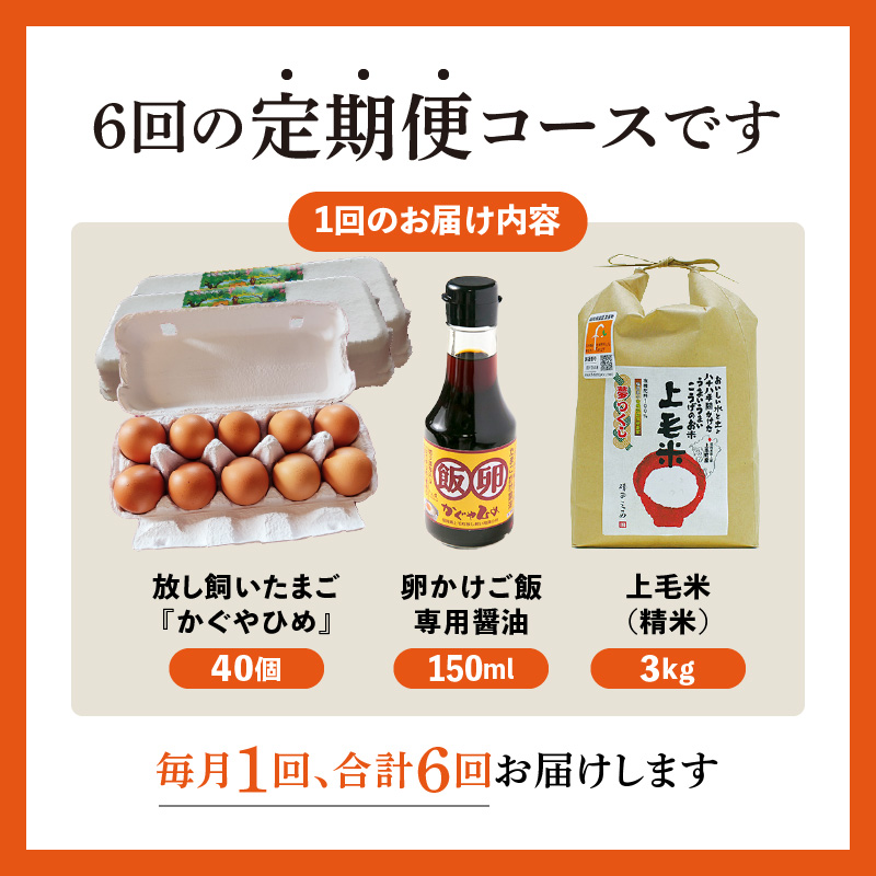 【定期便】上毛町産の「たまごかけご飯セット」（卵40個・米3kg・専用醤油）6回（毎月）コース　06T-007