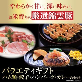 【ブランド豚肉】お米育ちの錦雲豚バラエティギフト（ハム類・餃子・ハンバーグ・カレーのセット）　FN0601