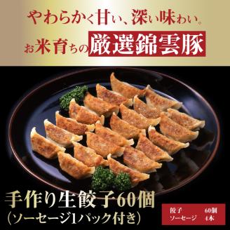 【ブランド豚肉】お米育ちの錦雲豚　手作り生餃子60個（ソーセージ1パック付き）　FN0702