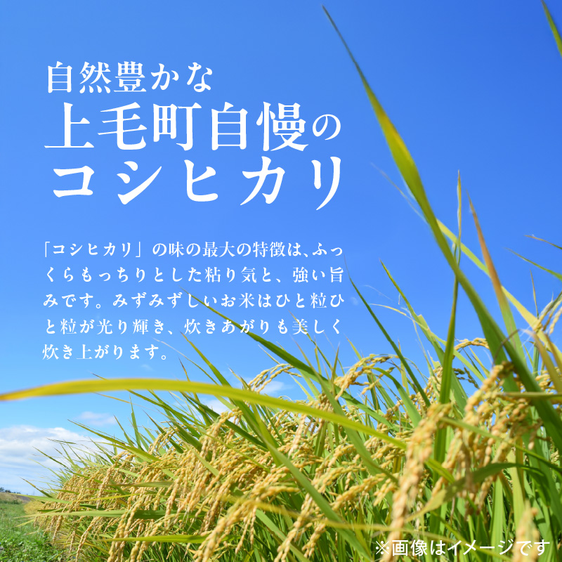 【先行受付】令和7年産 上毛町産 東農園のこだわり米 コシヒカリ 5kg HGS0207